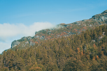 Misty morning in the mountains