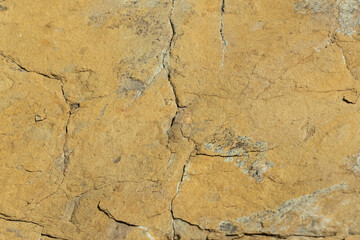 Yellow Rocky rock with cracks. Interesting background or texture