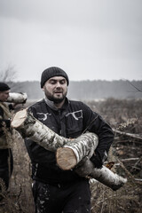 Naklejka premium A serious tired man carries an armful of sawn logs for firewood. At the edge of the forest, a man has made a lot of logs and is now carrying them to the car. The concept of a man carrying logs.