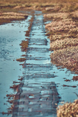 Historic Stockenstieg in the Wadden Sea in northern Germany. High quality photo