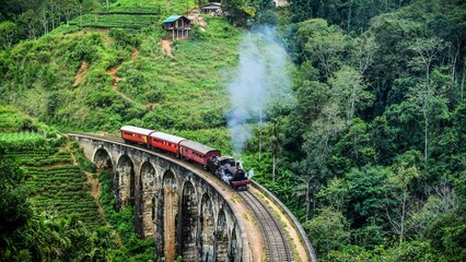 Loc Train on Ella Nine Arch Bridge