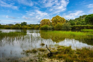 Little water dam in the autumn skies and trees with yellow and orange foliage. Countryside of Ribatejo in the portuguese village of Chamusca - Portugal