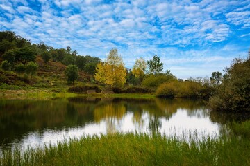 Little water dam in the autumn skies and trees with yellow and orange foliage. Countryside of Ribatejo in the portuguese village of Chamusca - Portugal