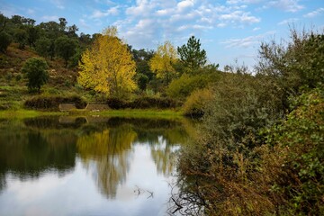 Fototapeta na wymiar Little water dam in the autumn skies and trees with yellow and orange foliage. Countryside of Ribatejo in the portuguese village of Chamusca - Portugal