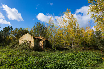 Obraz premium Abandoned house in the countryside of Ribatejo - Portugal. Abandoned house in the autumn landscape
