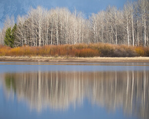 lake in autumn