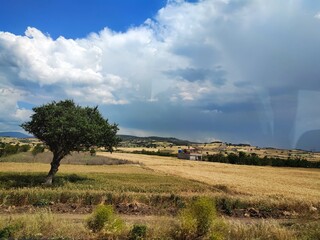 landscape with trees and clouds