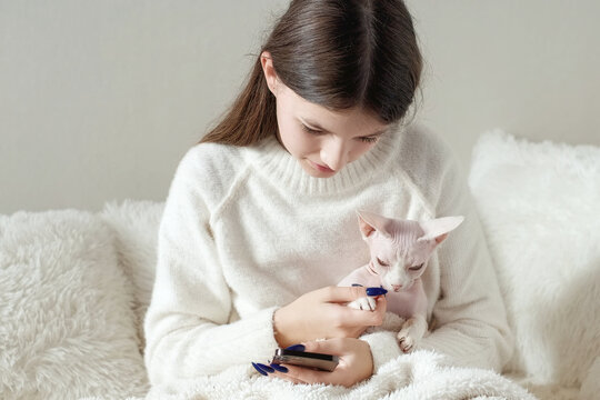 Smiling young girl in white jamper stroking a cat and using smartphone indoors. Bald pedigreed sphinx cat relaxes and purrs.