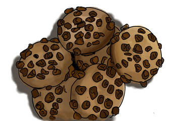 chocolate chip cookies