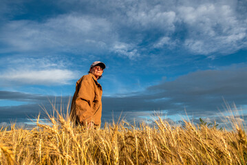 Wheat Harvest,  Woman rancher checks the weather while checking the condition of her wheat before harvest near Sidney, MT USA