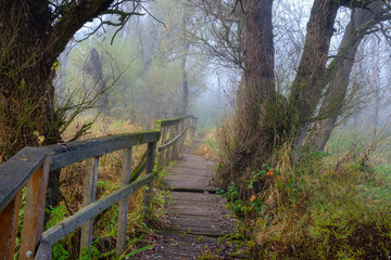 Fototapeta premium Abandoned and destroyed wooden pathway in a scary foggy autumn forest