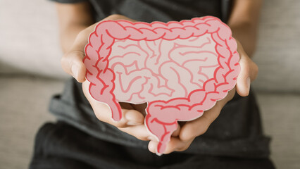 Man holding intesline, probiotics food for gut health, colon cancer, bowel inflammatory concept