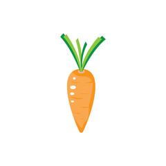 carrot icon color logo design vector illustration