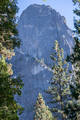 mountain and blossom