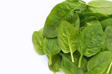 Spinach leaves on white background.