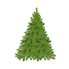 Realistic christmas tree Fluffy green pine tree