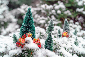 Christmas gift boxes on snow near small green fir trees on green thuja branches covered with fluffy snow, snow-covered coniferous trees in the background, background image for Christmas and New Year