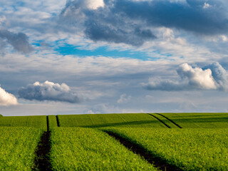 Weites Feld und Wolkenhimmel