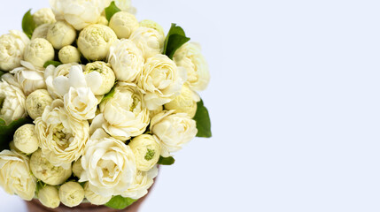 Jasmine flower on white background.