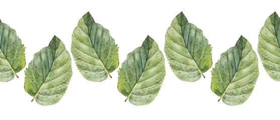 Seamless rim watercolor green leaf of on white background. Hand-drawn summer wild plant foliage. Border for decor. Botanical nature frame for sticker tea wallpaper wrapping textile kitchen