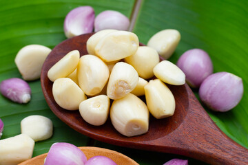 Fresh garlic with shallot on green leaf