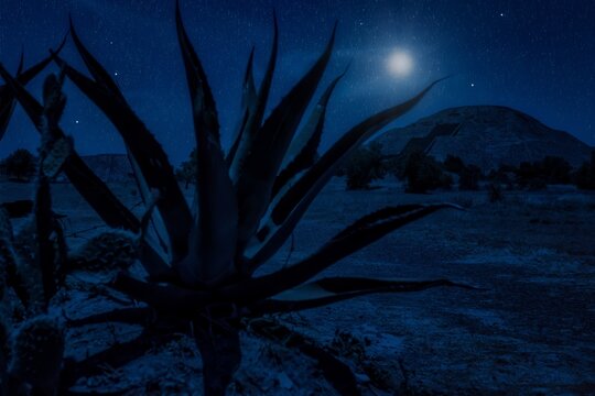 composition mexico teotihuacan pyramid and night shooting stars and moon