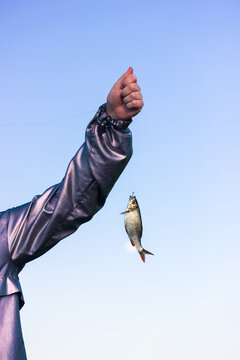 Fisherwoman holding in hand and showing a river fish caught on hook against blue sky. Sports, hobbies, fishing, angling, outdoor activities vertical wallpaper. Freshwater Scardinius erythrophthalmus.