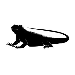 Silhouette of an iguana on a white background - obrazy, fototapety, plakaty