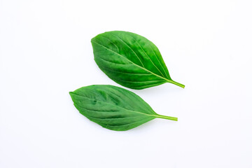 Two fresh green basil leaf isolated on white background.