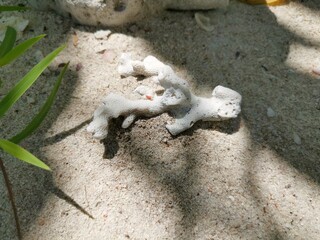 Obraz premium squirrel in the zoo
