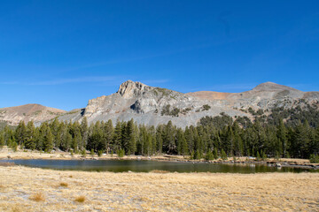 autumn in the mountains