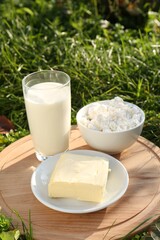 Wooden tray with tasty homemade butter and dairy products on grass outdoors