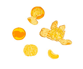 Healthy orange fruit isolated in white background