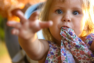Little blonde toddler girl preschool reaching for toy with hand, exploring the World, sucking on...