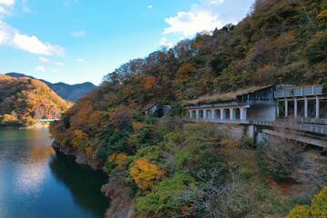 Fototapeta premium 紅葉する山とトンネル