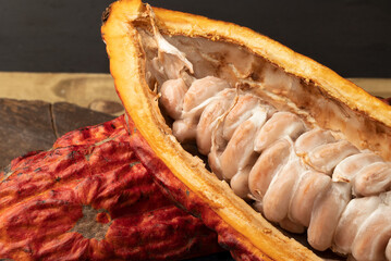 Brazilian fresh cocoa close up.