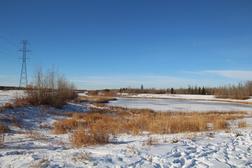Frozen Lake, Pylypow Wetlands, Edmonton, Alberta