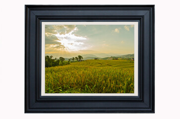 Classic picture frame of golden rice field on white background