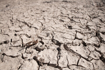 Soil surface drought crisis background.