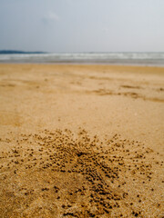 Weligama Beach, Srilanka