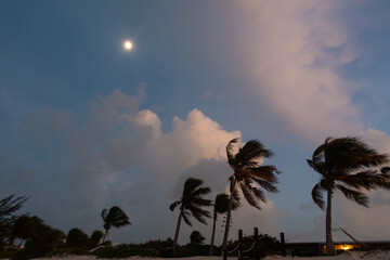 Dusk on Grace Bay Beach Providenciales Turks and Caicos with Moon and Palms