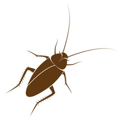 Image of cockroach design isolated on transparent background. Animals.