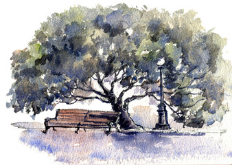 watercolor drawing tree and bench in park, hand drawn illustration - obrazy, fototapety, plakaty