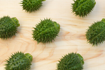 background with plants