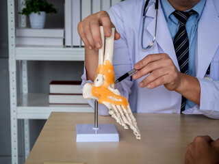 Close-up pen holding by orthopedic doctor man's hand in white coat pointing to foot skeleton, ankle...