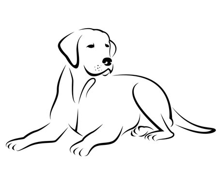 Image of a dog labrador design isolated on transparent background. Pet. Animals.