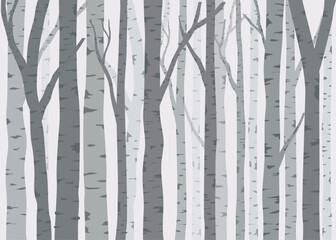 birch trees seamless pattern vector