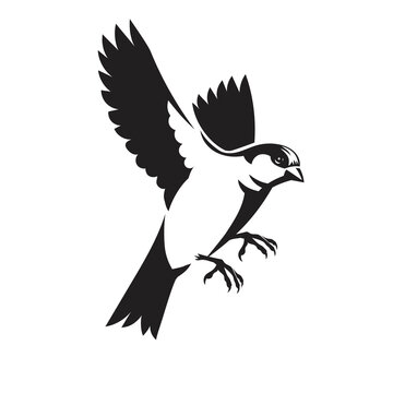sparrow bird flying vector black and white color