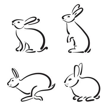 Group of hand drawn rabbit design isolated on transparent background. Wild Animals.