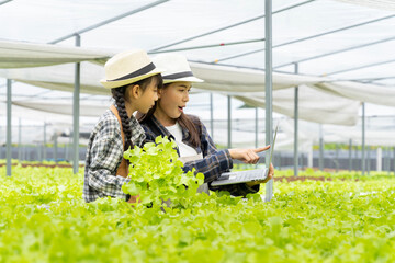 Asian family mother and daughter picking vegetables Check your own hydroponic vegetable garden together happily